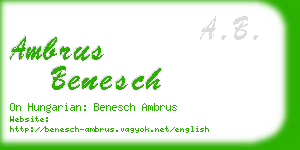 ambrus benesch business card